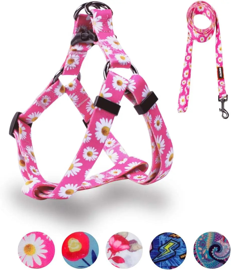 Adjustable Dog Harness & Leash Set, No-Pull Back Clip, Anti-Twist for All Dog Sizes