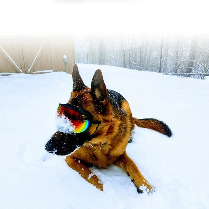 Dog Goggles Anti-UV Sun Glasses Eyewear Protection Adjustable Windproof Pet Dog Supplies For Travel